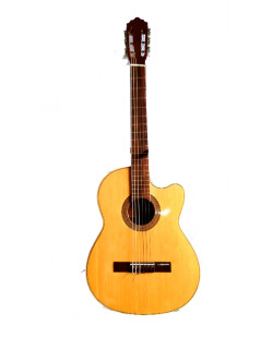 Classic acoustic guitar 